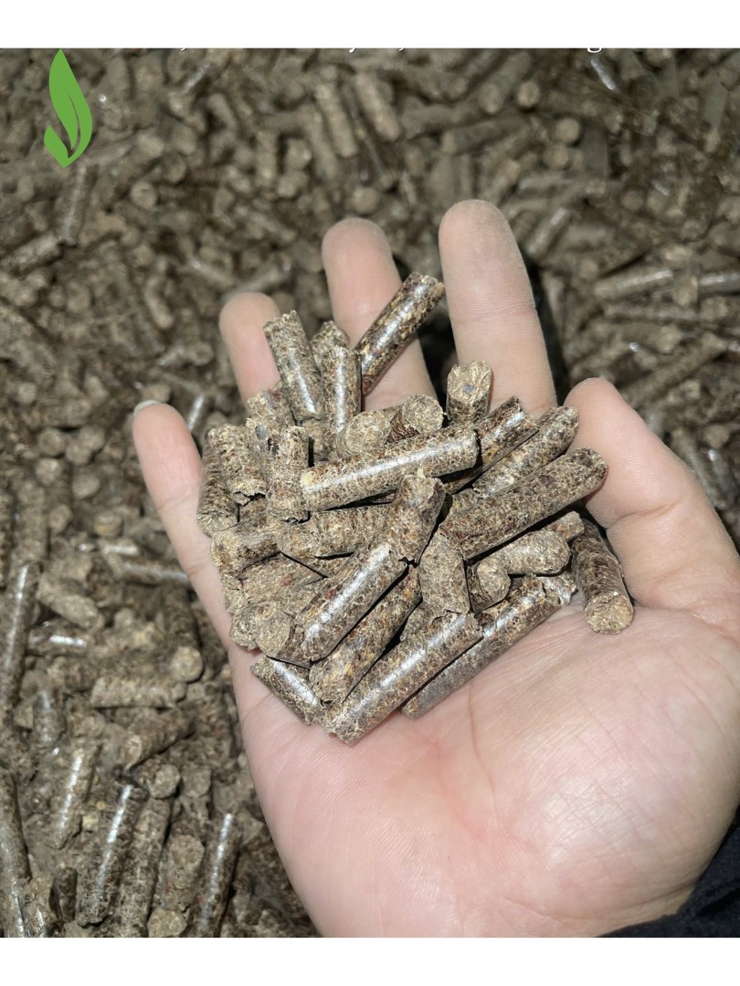 Z7097289756567 58845b5e61e8c7eac7cde4e725d9377a